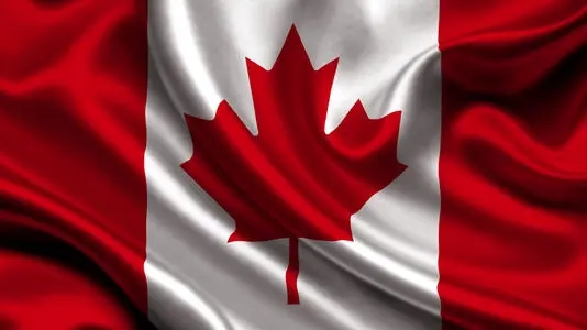 扎心！加拿大20万留学生拼了十年仍拿不到加拿大身份？